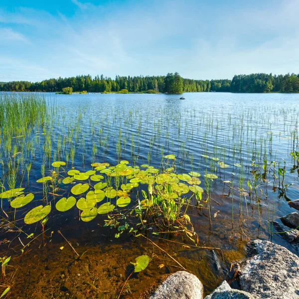 Летний Вид Озеро Лесом Краю Финляндия — стоковое фото