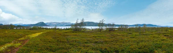 Tornetrask Lato Pochmurny Widok Jezioro Laponii Jokkmokk Szwecji — Zdjęcie stockowe