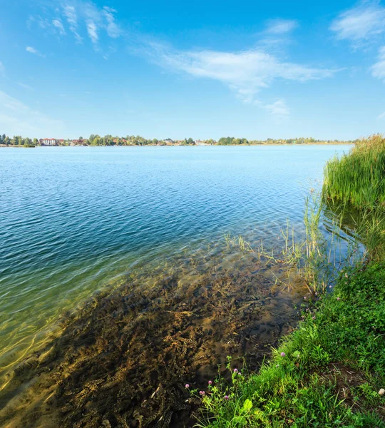 风景如画的夏日湖泊平静灯心草岸边 宁静的乡村生活概念 生态友好的旅游 — 图库照片