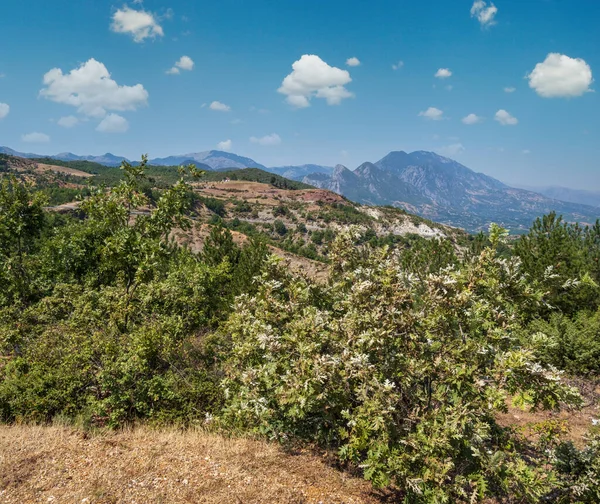 Summer Balkan Mountains View Mountain Road Diber County Albania Europe — Stock Photo, Image