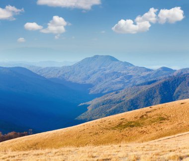 sabah sisli sonbahar dağ manzarası (Karpat, Ukrayna)