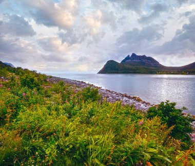 Yaz bulutlu akşam ersfjorden peyzaj (Norveç, lofoten).