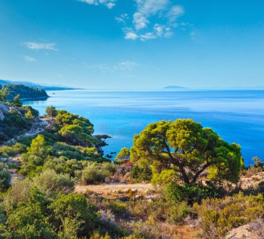Sabah yaz Ege kıyı şeridi (Nikiti, Sithonia, Halkidikya, Yunanistan).