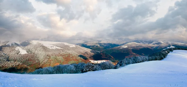 月山山毛榉森林边缘与冬天第一场雪和最后一个色彩缤纷的红叶远山腰 — 图库照片