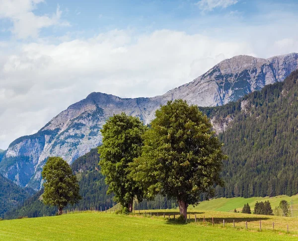 阿尔卑斯山草甸宁静的夏天视图 奥地利 Gosau 村郊外 — 图库照片