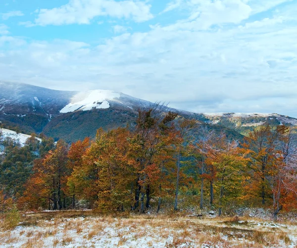 与第一次冬季雪和秋季多彩树叶 月喀尔巴阡山高原 — 图库照片