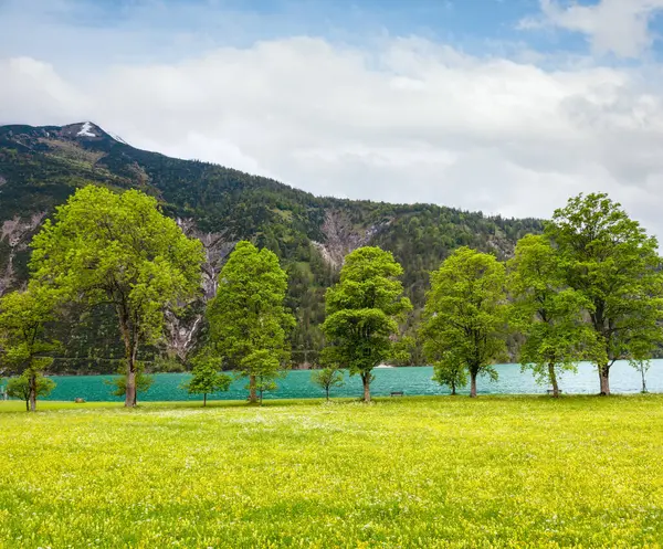 Krajobraz Lato Achensee Jezioro Achen Kwitnących Żółty Łąka Pochmurnego Nieba — Zdjęcie stockowe