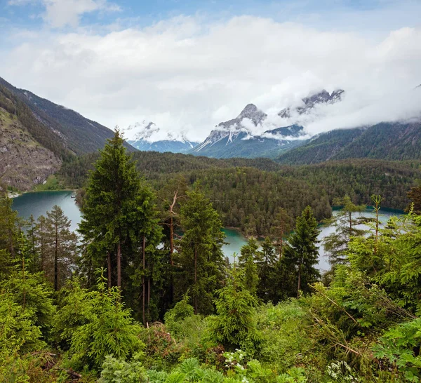 Lago Alpino Ciego Paisaje Verano Con Bosque Abeto Orilla Biberwier —  Fotos de Stock