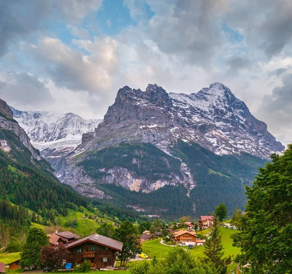 斜面や雪にモミの森と山の風景が遠くロッキー トップを覆われた夏アルプス スイス連邦共和国 カントリー ビュー — ストック写真
