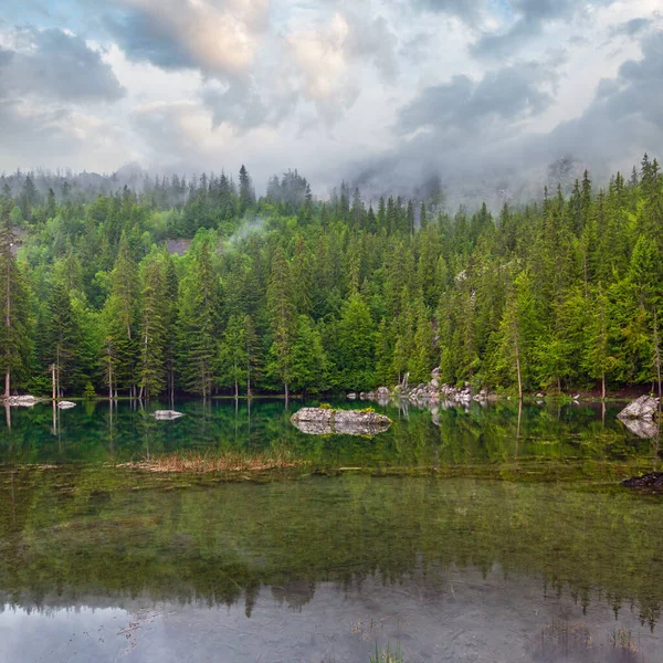 フランス アルプス 霧深い夏の朝の小さな山森林湖 — ストック写真