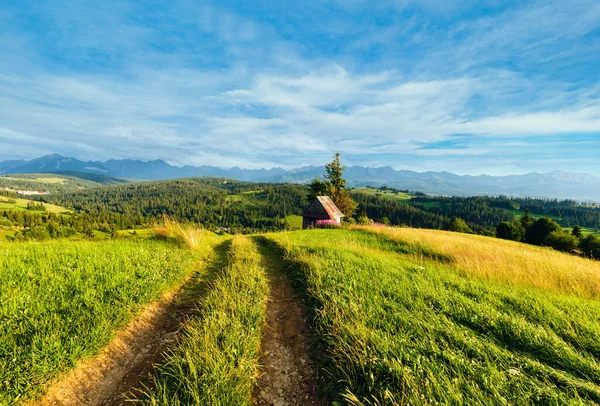 Summer Evening Mountain Village Outskirts Country Road Front Tatra Range — Stock Photo, Image