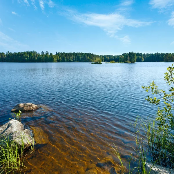 Letní Pohled Jezero Lesem Okraji Finsko — Stock fotografie