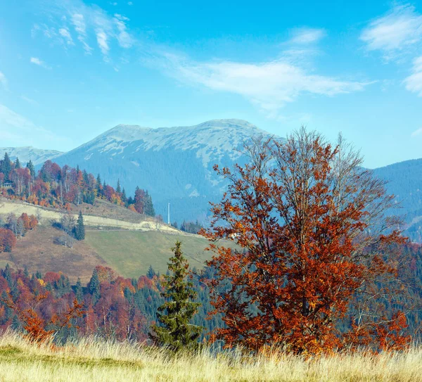 Morning Autumn Slopes Colorful Trees Carpathians Yablunytskyj Pass Ivano Frankivsk — Stock Photo, Image