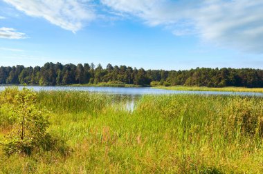Kıyıda küçük bir korulukla birlikte yaz sıcağı sıcağına göl manzarası