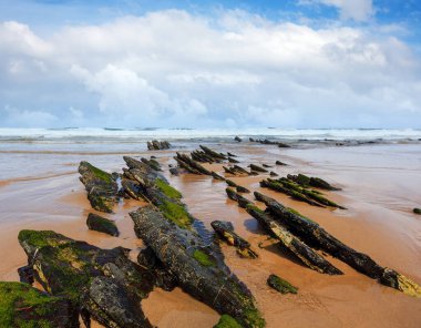 Kaya oluşumları kumlu plaj ve mavi gökyüzü ile cumulus bulutları (Algarve, Costa Vicentina, Portekiz).