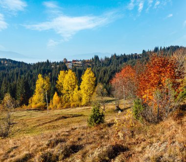 (İle renkli ağaçlar) sabah sonbahar yamaçları Karpat Dağları (Yablunytskyj Pass, Ivano-Frankivsk oblast, Ukraine).