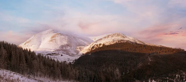 Χειμερινό Ξημέρωμα Ορεινό Τοπίο Ουκρανία Καρπάθια Όρος Πέτρος — Φωτογραφία Αρχείου