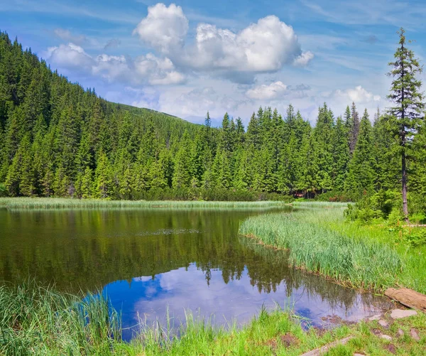 Lago Montanha Verão Marichejka Reflexo Floresta Abeto Ucrânia Chornogora Ridge — Fotografia de Stock