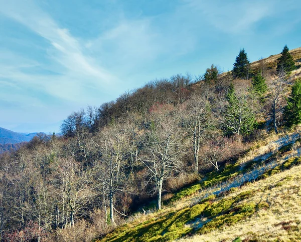 Autunno Alberi Spogli Sul Bordo Della Foresta Carpazi Montagne Ucraina — Foto Stock