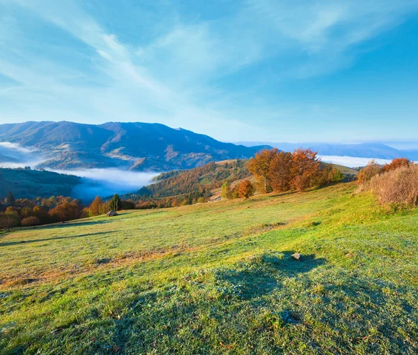 秋雾弥漫的晨山 乌克兰喀尔巴阡山脉 — 图库照片