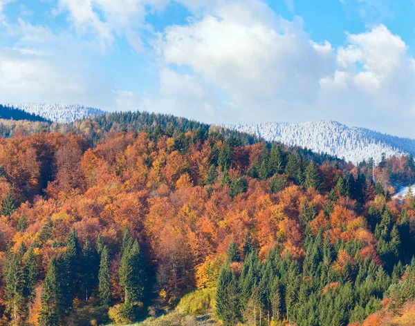 Outono Ensolarado Floresta Montanha Geada Topo Das Árvores Montanha Cárpatos — Fotografia de Stock