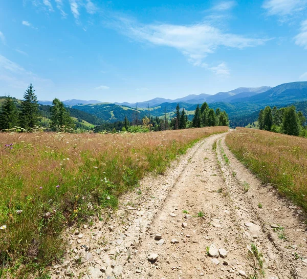 Vuile Weg Door Avond Bloeiende Grasland Bergen Karpaten Oekraïne — Stockfoto