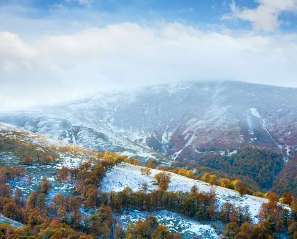 Жовтень Карпатське Гірське Плато Першим Зимовим Снігом Осіннім Барвистим Листям — стокове фото
