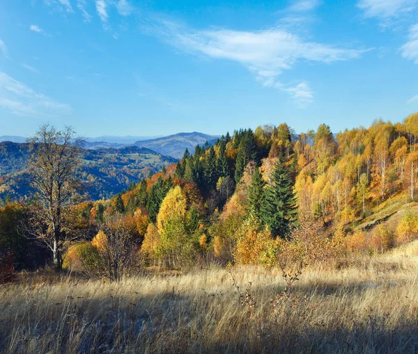 Jesień Przełęcz Nimchich Podkarpacie Ukraina Oraz Kolorowe Drzewa Wzgórzu — Zdjęcie stockowe