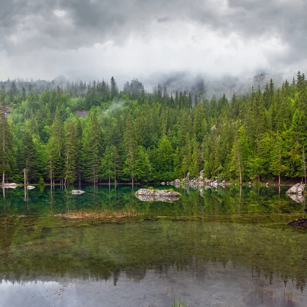 Small Mountain Forest Lake French Alps Misty Summer Morning — Stock Photo, Image