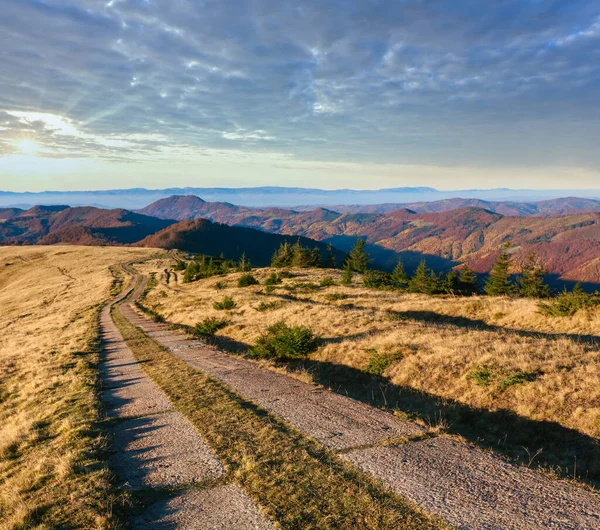 Camino Otoño Montaña Árboles Colores Las Laderas Cárpatos Ucrania —  Fotos de Stock