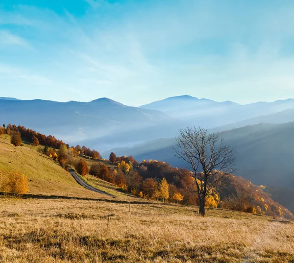 Rural Road Colorful Trees Autumn Mountain Slope Sunbeams Carpathian Ukraine — Stock Photo, Image