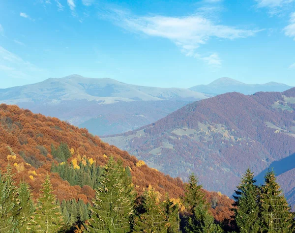 Podzimní Mlhavá Horská Krajina Pestrobarevnými Stromy Svahu Jedlemi Kužely Vpředu — Stock fotografie
