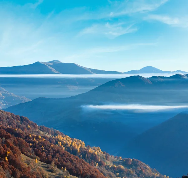 秋の斜面のカラフルな森と山の間の雲 カルパティア ウクライナ — ストック写真