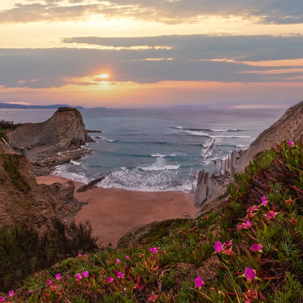 Весенний Морской Пейзаж Заката Небольшим Песчаным Пляжем Розовыми Цветами Перед — стоковое фото