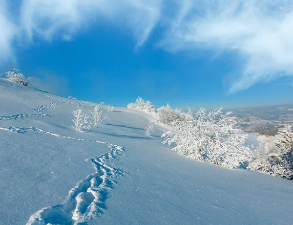 Zimní Ráno Klidné Horské Krajiny Krásnou Polevu Stromy Pěšina Prodírat — Stock fotografie