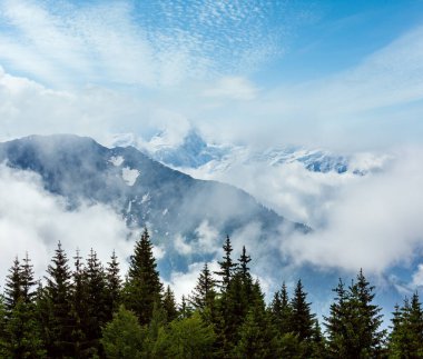 Mont blanc Dağı massif (chamonix valley, Fransa, görünümden plaine joux ilçe sınırı).