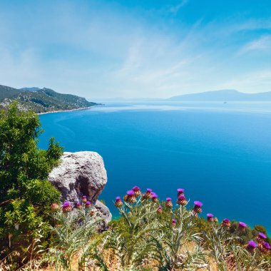 Adriyatik Denizi kıyı şeridi görünümü (Hırvatistan ağaç, thistle bitki ve önünde taş yaz)