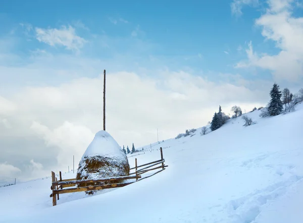 Paysage Montagneux Hivernal Terne Avec Meule Foin Carpates Ukraine — Photo