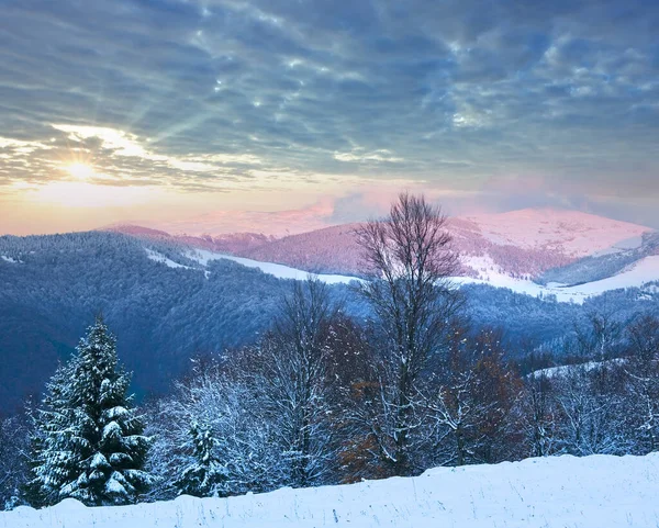 Winter Zonsondergang Berglandschap Met Besneeuwd Bos Karpaten Oekraïne — Stockfoto