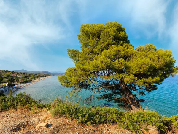 Wonderful Sandy Beach Aegean Sea Sithonia Halkidiki Greece — Stock Photo, Image