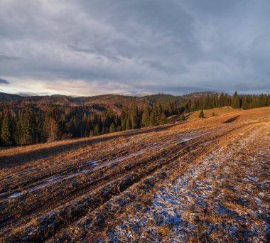 Sonbahar dağı sabah sahnesi. Huzurlu manzaralı seyahat, mevsimsel, doğa ve kırsal güzellik konsepti.