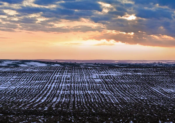 Zwarte Aarde Akkerland Bedekt Met Laatste Sneeuw Vroege Lente Rustige — Stockfoto