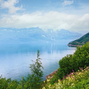 Bulutlu yaz görünümü glomfjorden, nordland, Norveç