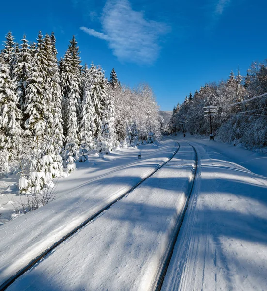 Railway Snowy Fir Forest Remote Alpine Helmet Carpathian Mountains Snow — Stock Photo, Image