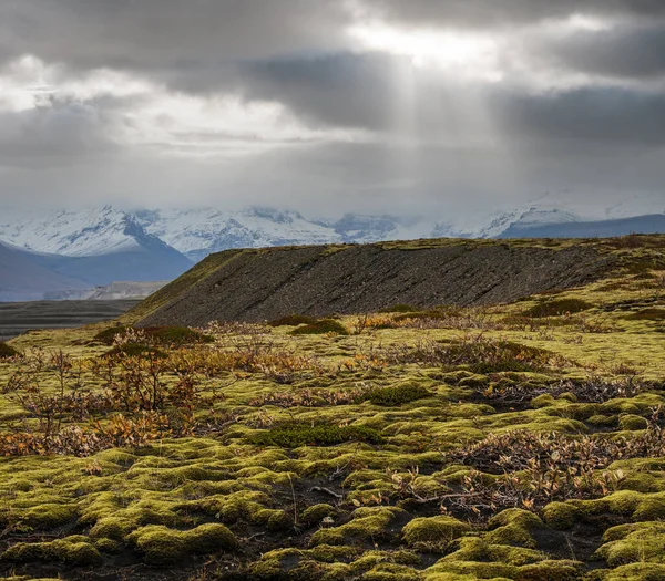 冰岛Haoldukvisl冰川附近的秋天冻土带景观 冰川舌从冰川下埃斯朱夫茹尔火山附近的Vatnajokull冰盖或Vatna冰川滑出 离冰岛环路不远 — 图库照片