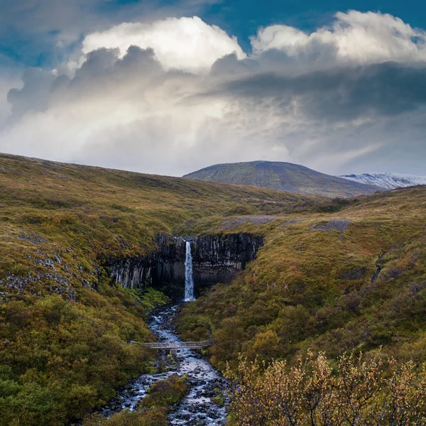 Picturesque Waterfall Svartifoss Icelandic Black Waterfall Surrounded Dark Lava Basalt — Stock Photo, Image