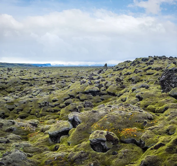 아이슬란드의 파자드 근처에 가을의 지대가 보인다 화산암 녹색이끼 형성되는 — 스톡 사진