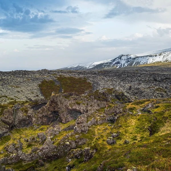 在冰岛西部高地 斯奈弗勒斯半岛 斯奈弗勒斯约克尔国家公园的车程中 你可以从壮观的朱帕洛桑杜尔黑色火山口看到熔岩 — 图库照片