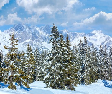 Kış dağ köknar snowy orman manzarası (üst papageno Bahn - filzmoos, Avusturya)