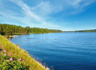 Kenarlarında orman olan göl manzarası (Finlandiya).